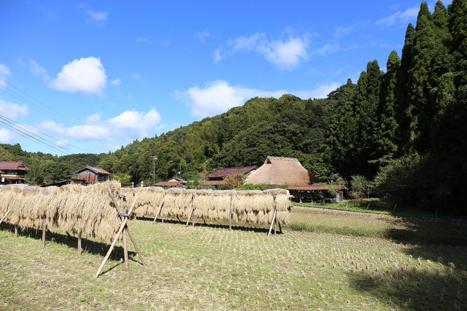 ぼくらが米を作る理由 三浦編集長の日常 01 読み物 石見銀山 群言堂オンラインストア 公式サイト